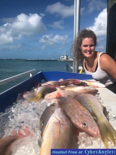 Click to Enlarge Photo