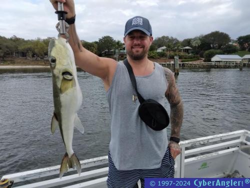 Click to Enlarge Photo