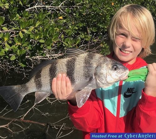 Click to Enlarge Photo