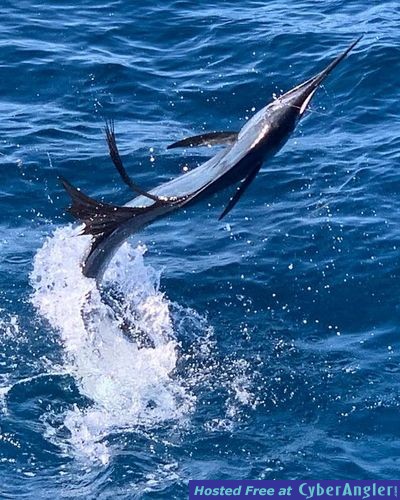 Click to Enlarge Photo