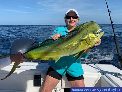 Click to Enlarge Photo