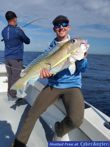 Click to Enlarge Photo