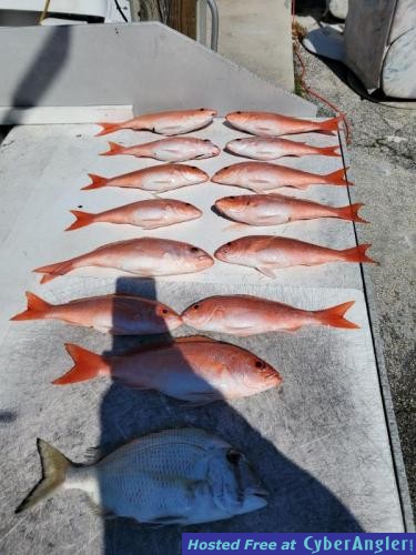 Click to Enlarge Photo