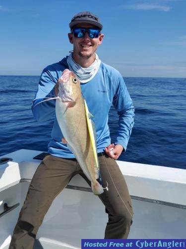 Click to Enlarge Photo