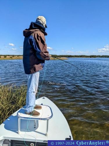 Click to Enlarge Photo