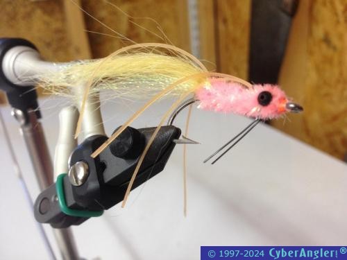 Click to Enlarge Photo