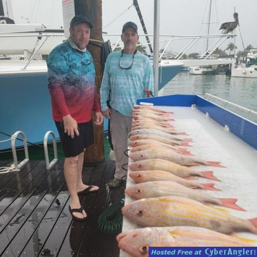 Click to Enlarge Photo