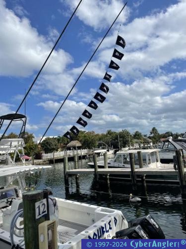 Click to Enlarge Photo