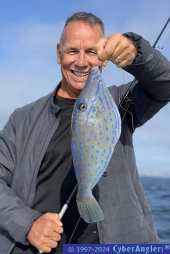 Click to Enlarge Photo