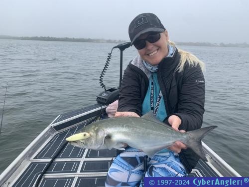 Click to Enlarge Photo