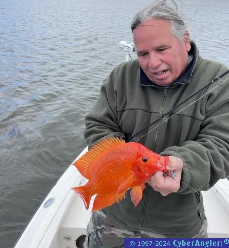 Click to Enlarge Photo