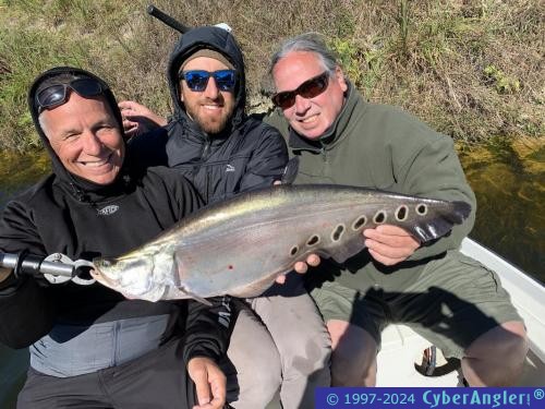 Click to Enlarge Photo