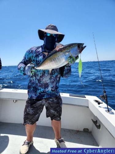 Click to Enlarge Photo