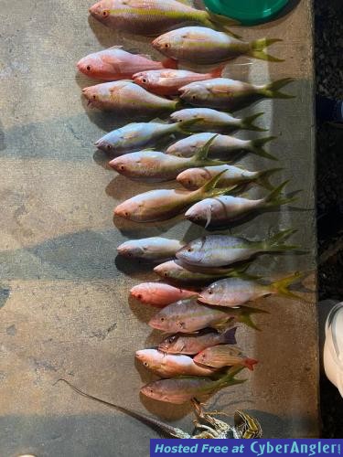 Click to Enlarge Photo