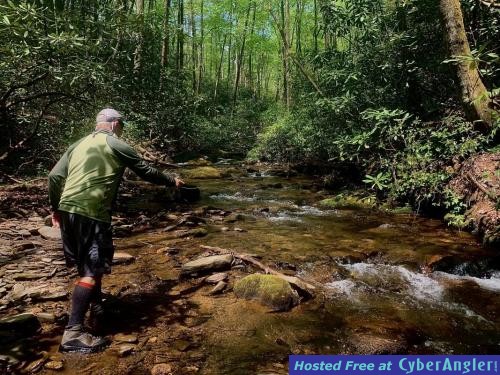 Click to Enlarge Photo