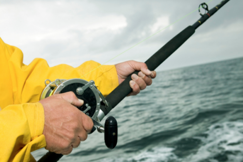 Click to Enlarge Photo