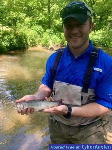 Click to Enlarge Photo