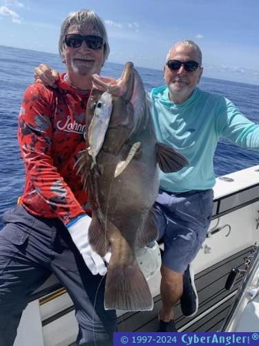 Click to Enlarge Photo