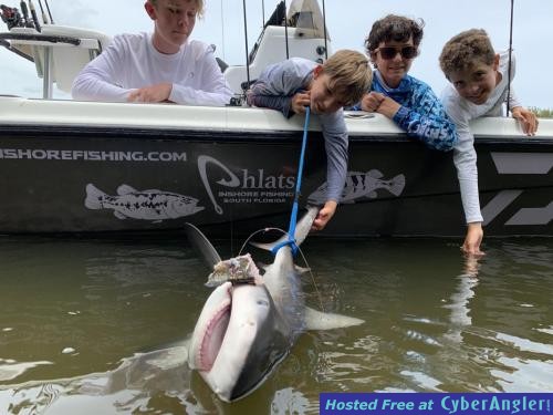 Click to Enlarge Photo