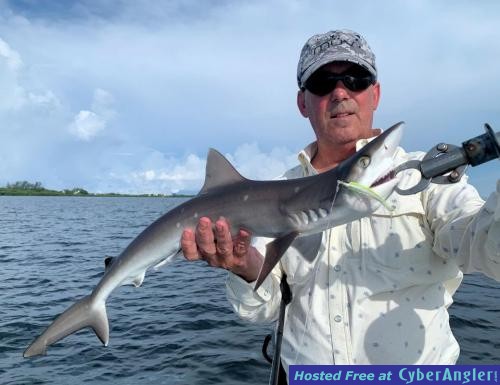 Click to Enlarge Photo