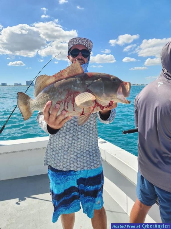 Click to Enlarge Photo