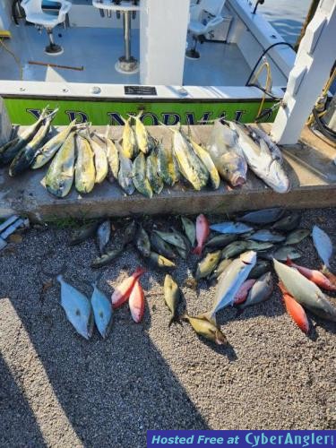 Click to Enlarge Photo