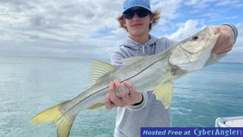 Click to Enlarge Photo