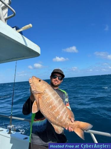 Click to Enlarge Photo