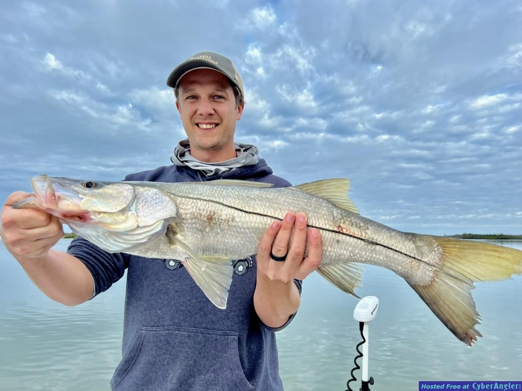 Click to Enlarge Photo