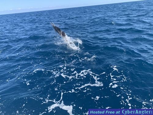 Click to Enlarge Photo