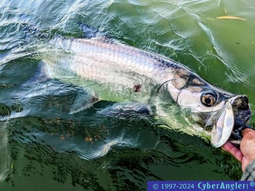 Click to Enlarge Photo