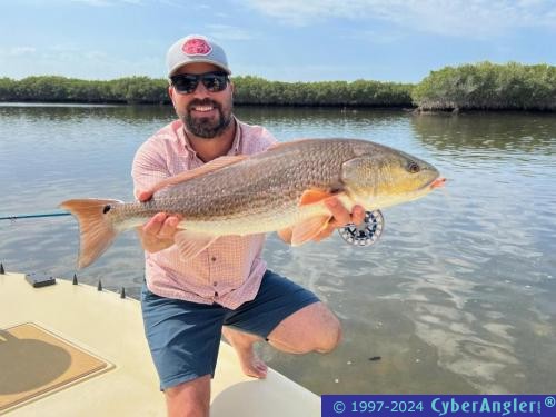 Click to Enlarge Photo