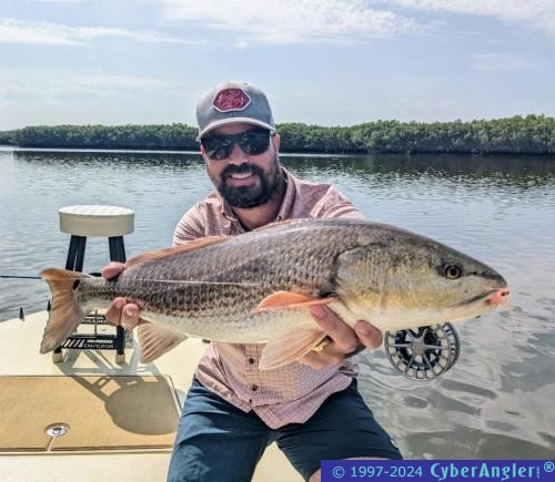 Click to Enlarge Photo