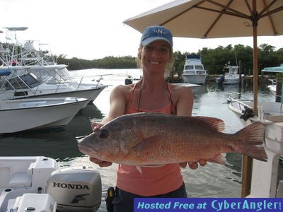 Click to Enlarge Photo