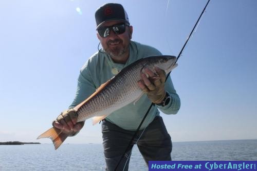 Click to Enlarge Photo