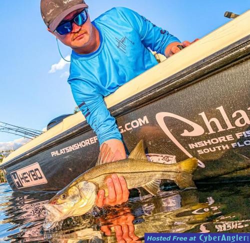 Click to Enlarge Photo