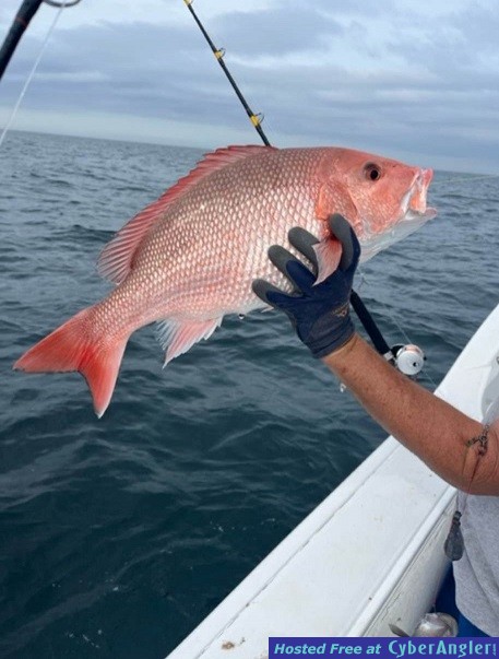 Click to Enlarge Photo