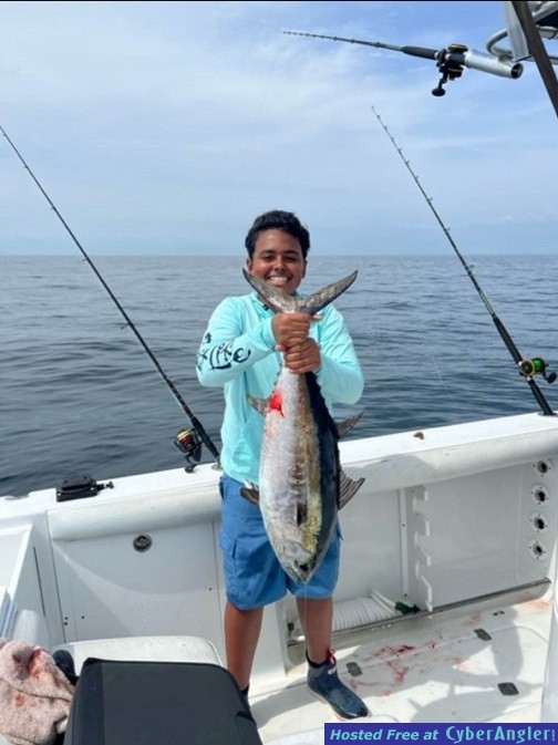 Click to Enlarge Photo