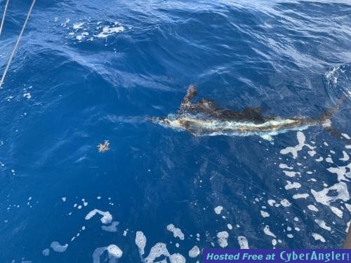 Click to Enlarge Photo