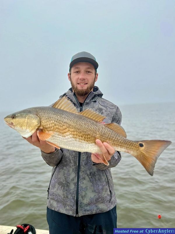 Click to Enlarge Photo