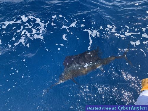 Click to Enlarge Photo