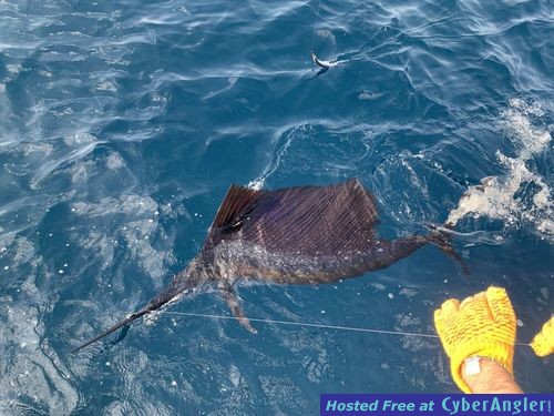 Click to Enlarge Photo