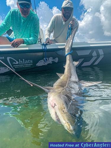 Click to Enlarge Photo