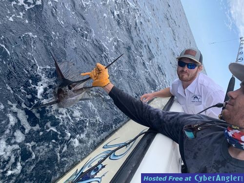 Click to Enlarge Photo