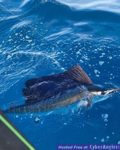 Click to Enlarge Photo