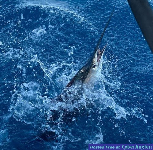 Click to Enlarge Photo