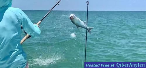 Click to Enlarge Photo