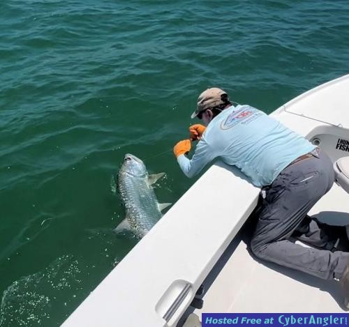 Click to Enlarge Photo