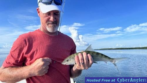 Click to Enlarge Photo