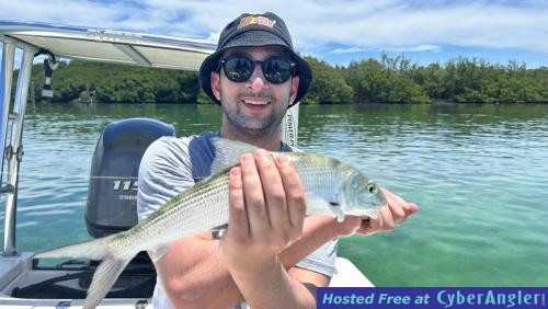 Click to Enlarge Photo